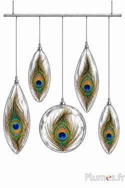 Pfau blau - 13-18 cm - natur